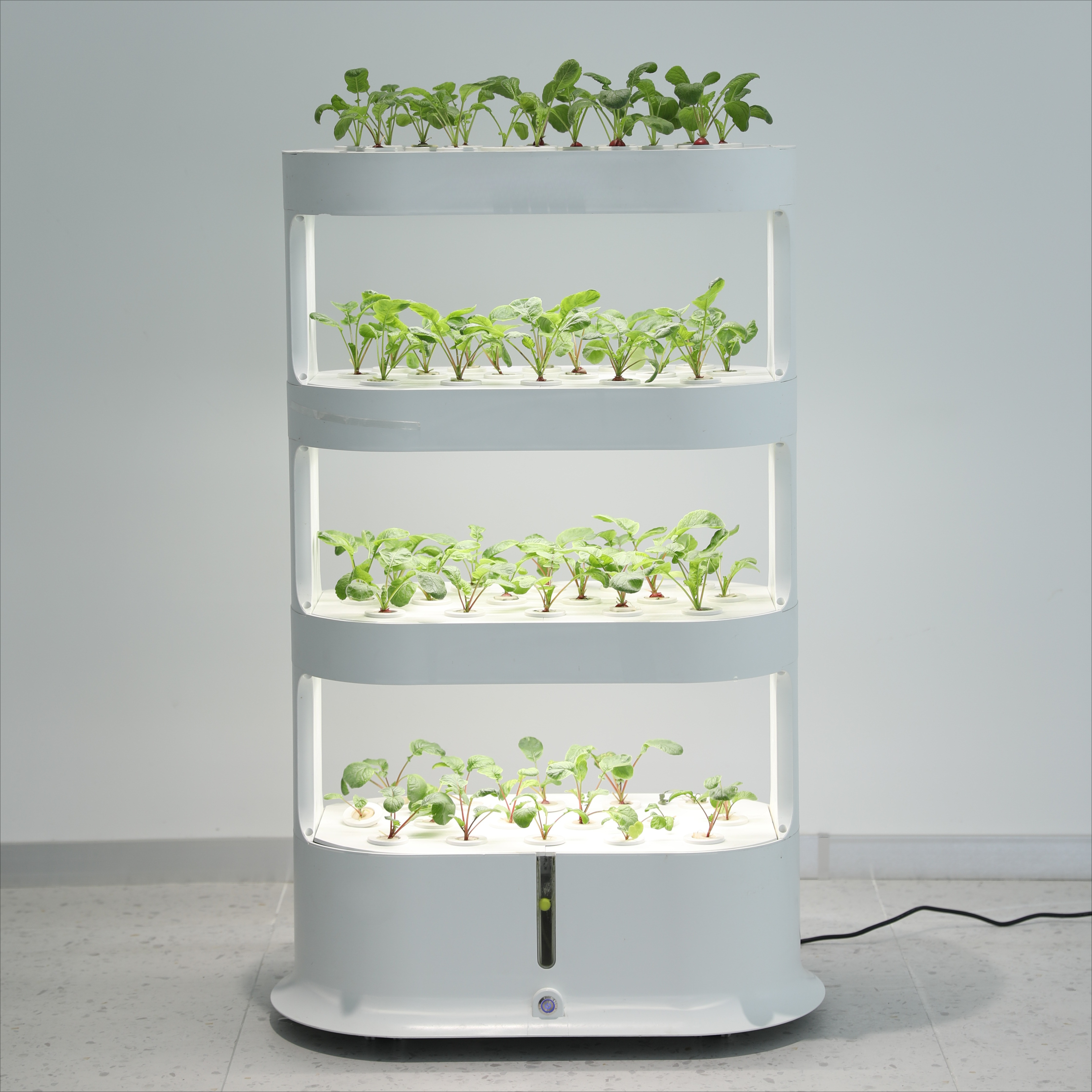 Smart Garden Herb - Home Greenhouse Automatic Home Garden Hydroponic