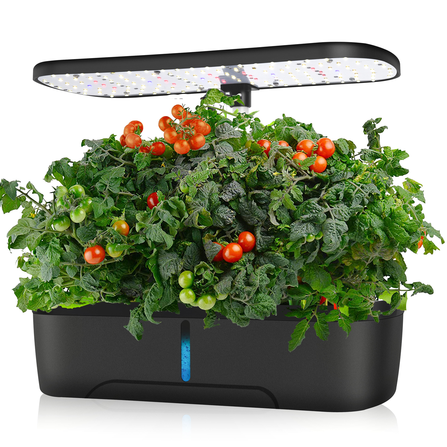 Smart Garden Herb - Indoor Small Home Planter Smart Flower