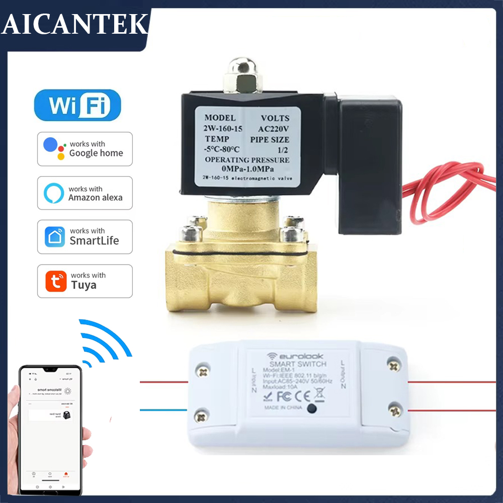 AC220V Tuya WiFi Smart Solenoi - Smart Garden Instructions ulasan dan harga