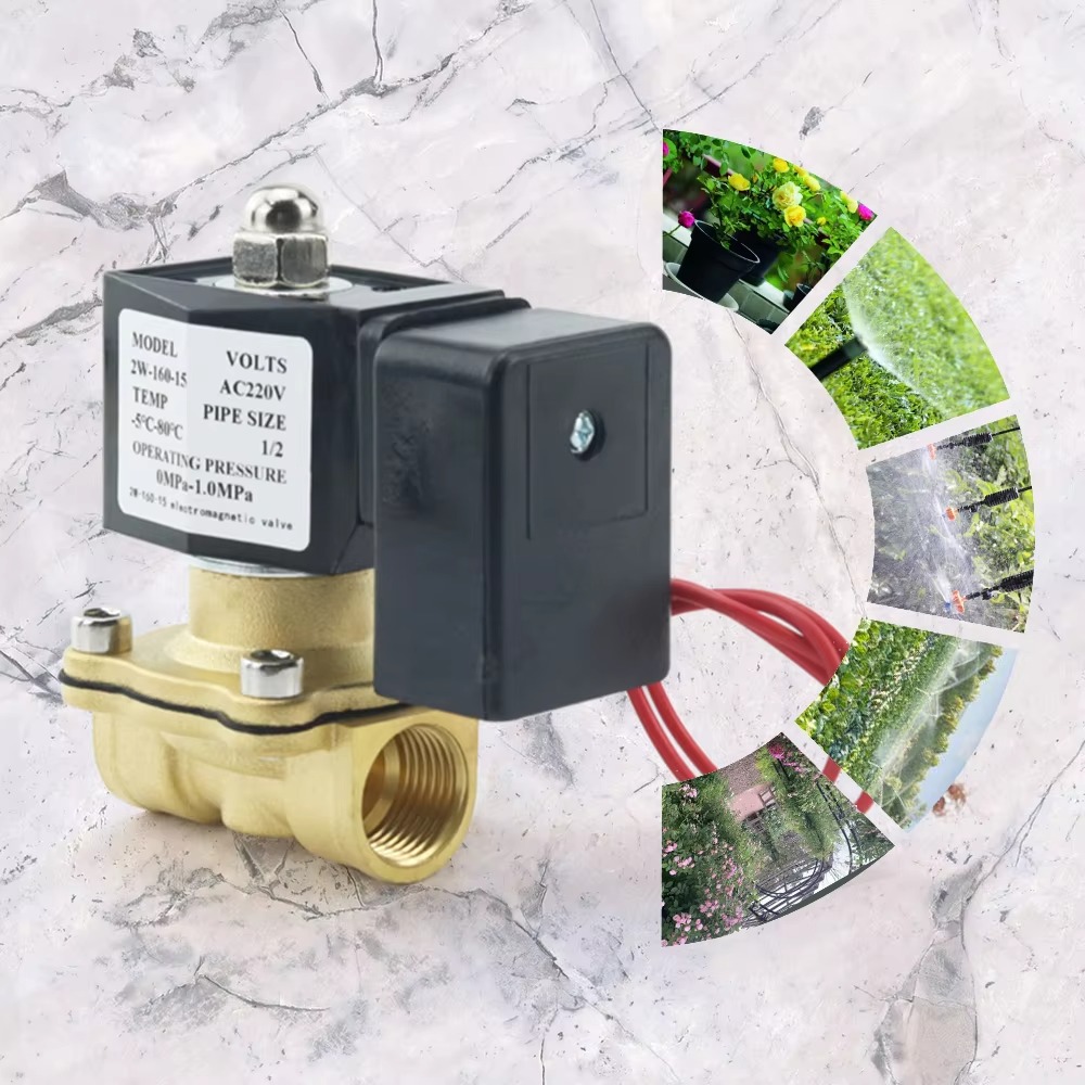 AC220V Tuya WiFi Smart Solenoi - Smart Garden Instructions ulasan dan harga