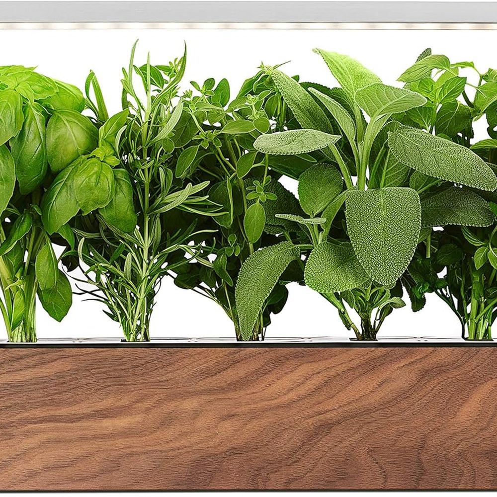 Smart Indoor Herb Garden: Grow - Smart Garden Herb ulasan dan harga