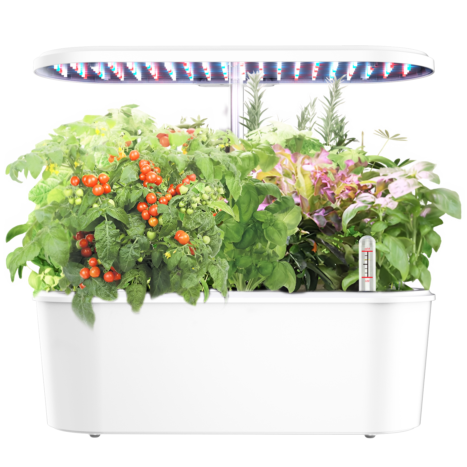 Smart Electronic Indoor Hydrop - Smart Garden Herb ulasan dan harga