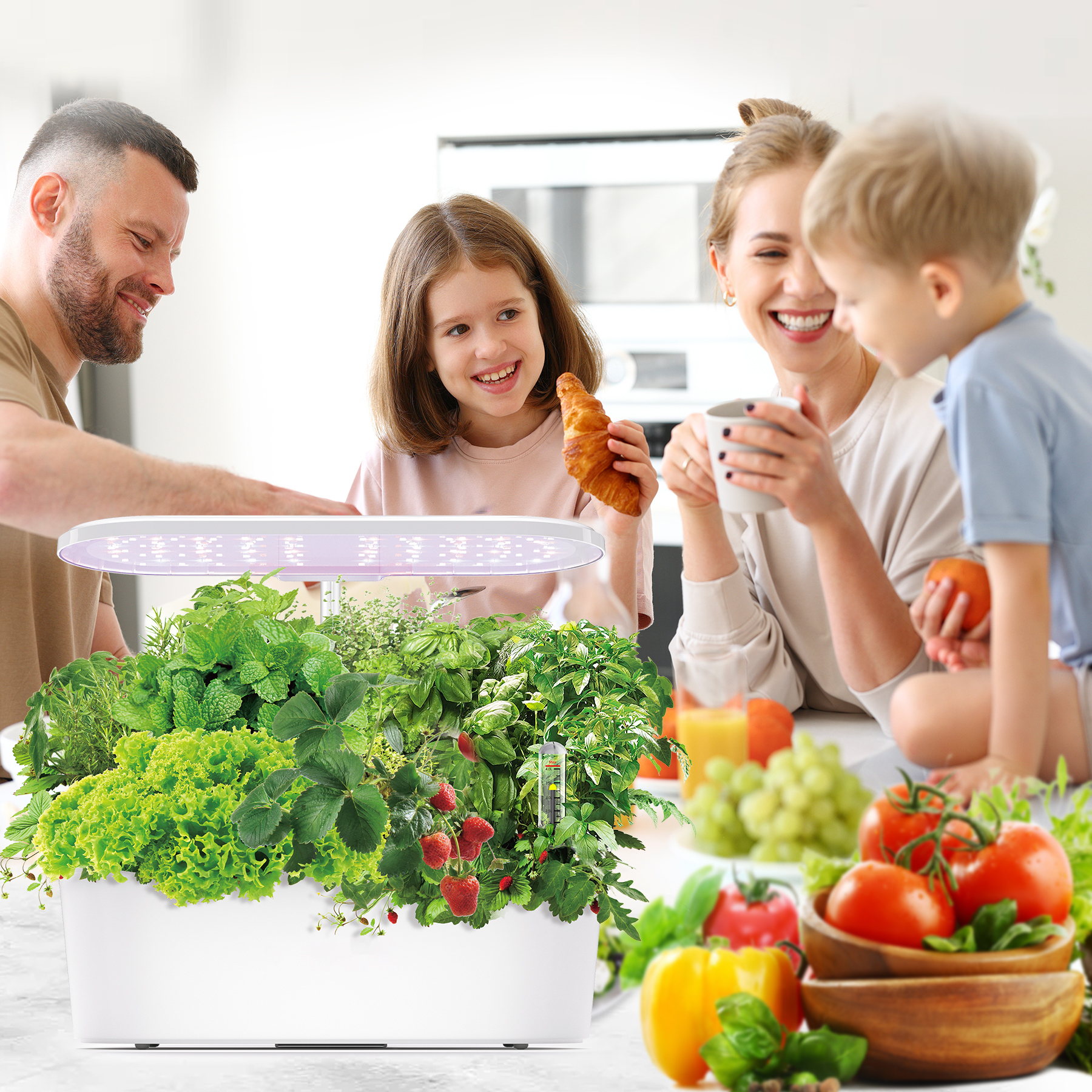 Smart Electronic Indoor Hydrop - Smart Garden Herb ulasan dan harga