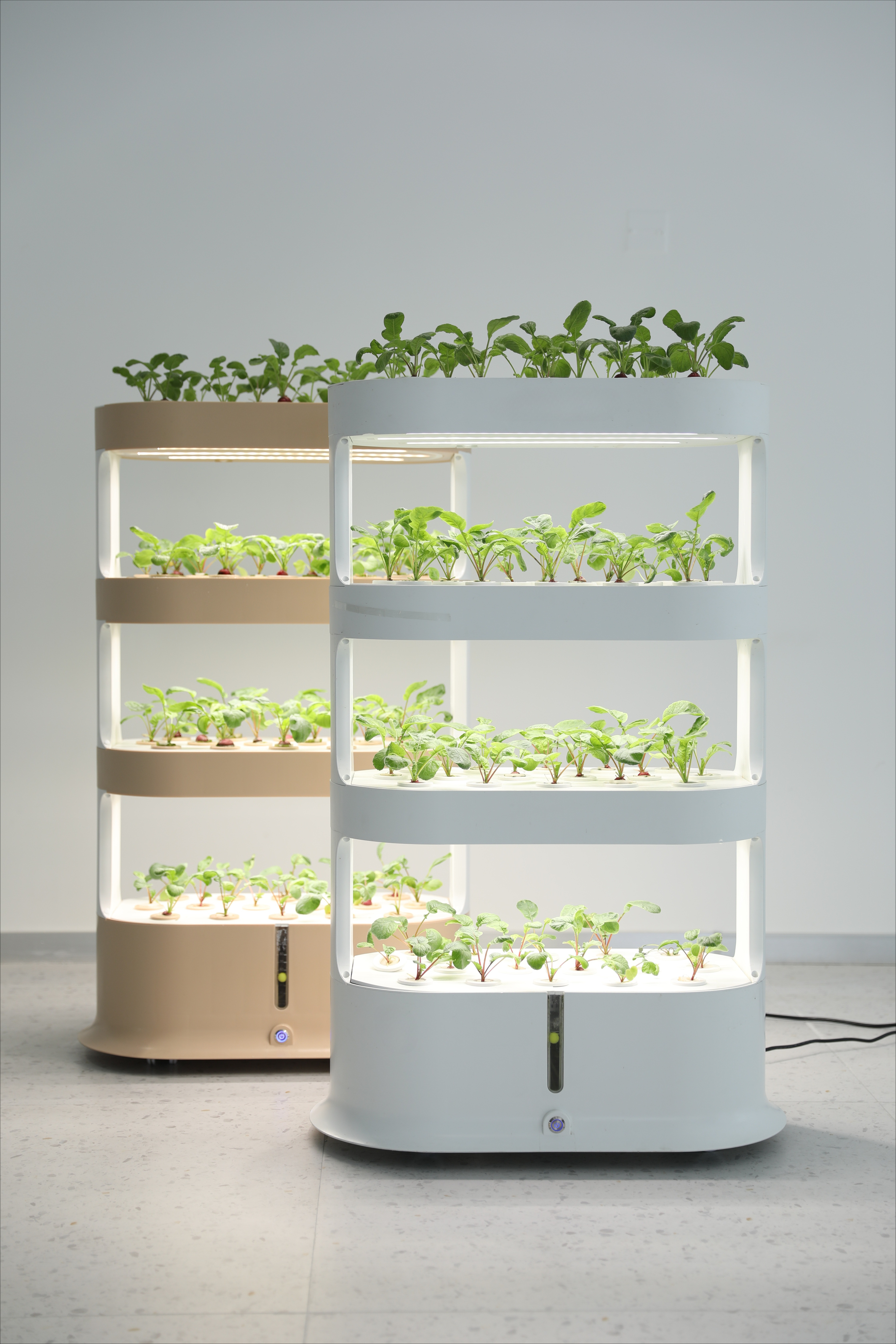 Home Greenhouse Automatic Home - Smart Garden Herb ulasan dan harga