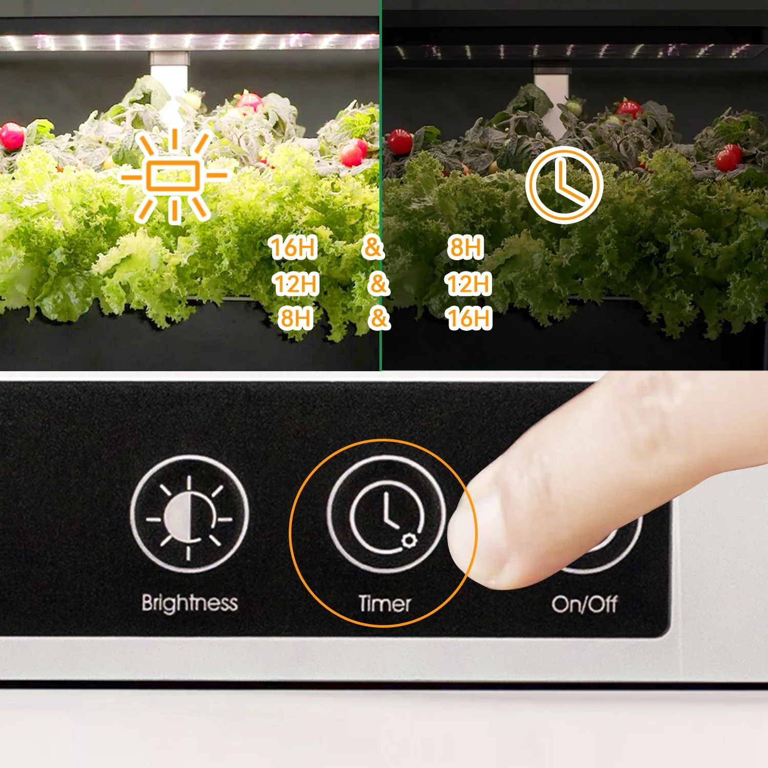 OEM Customized smart garden in - Smart Garden Herb ulasan dan harga