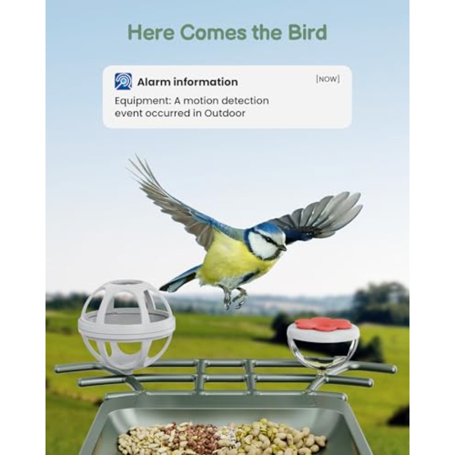 Smart Bird Feeder with Camera  - Smart Garden Domes ulasan dan harga