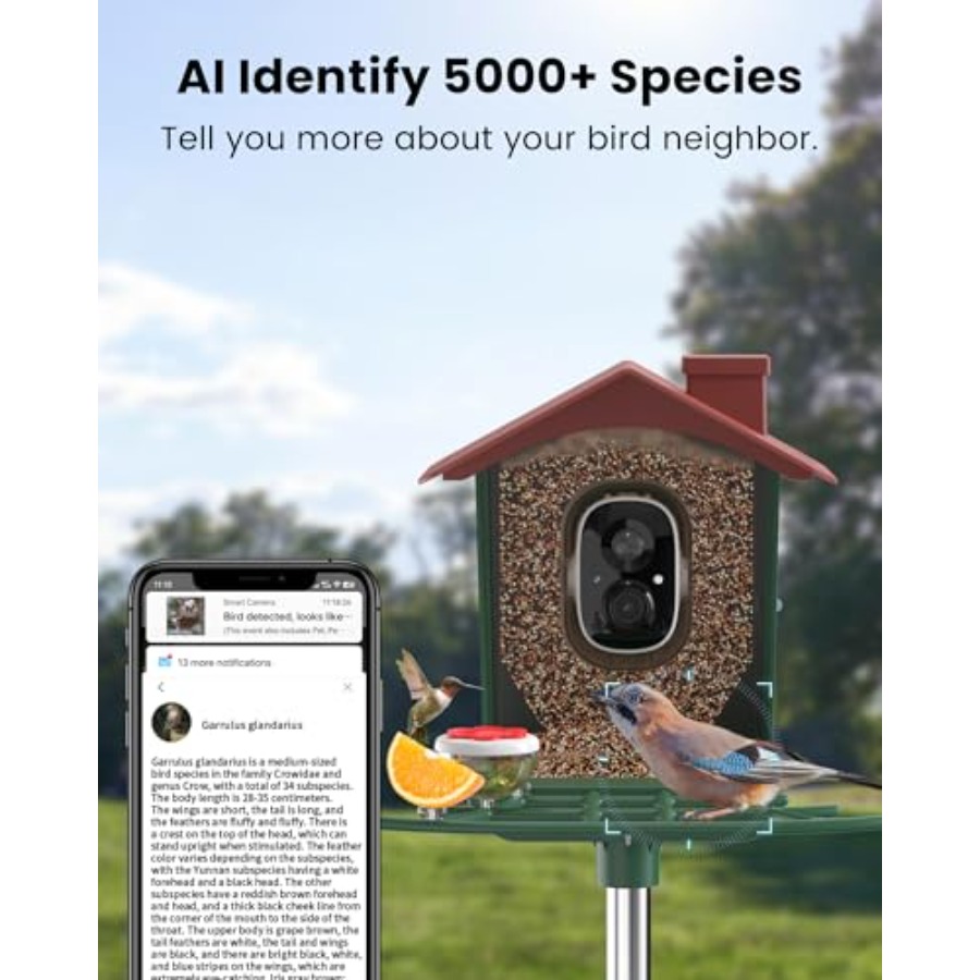 Smart Bird Feeder with Camera  - Smart Garden Domes ulasan dan harga
