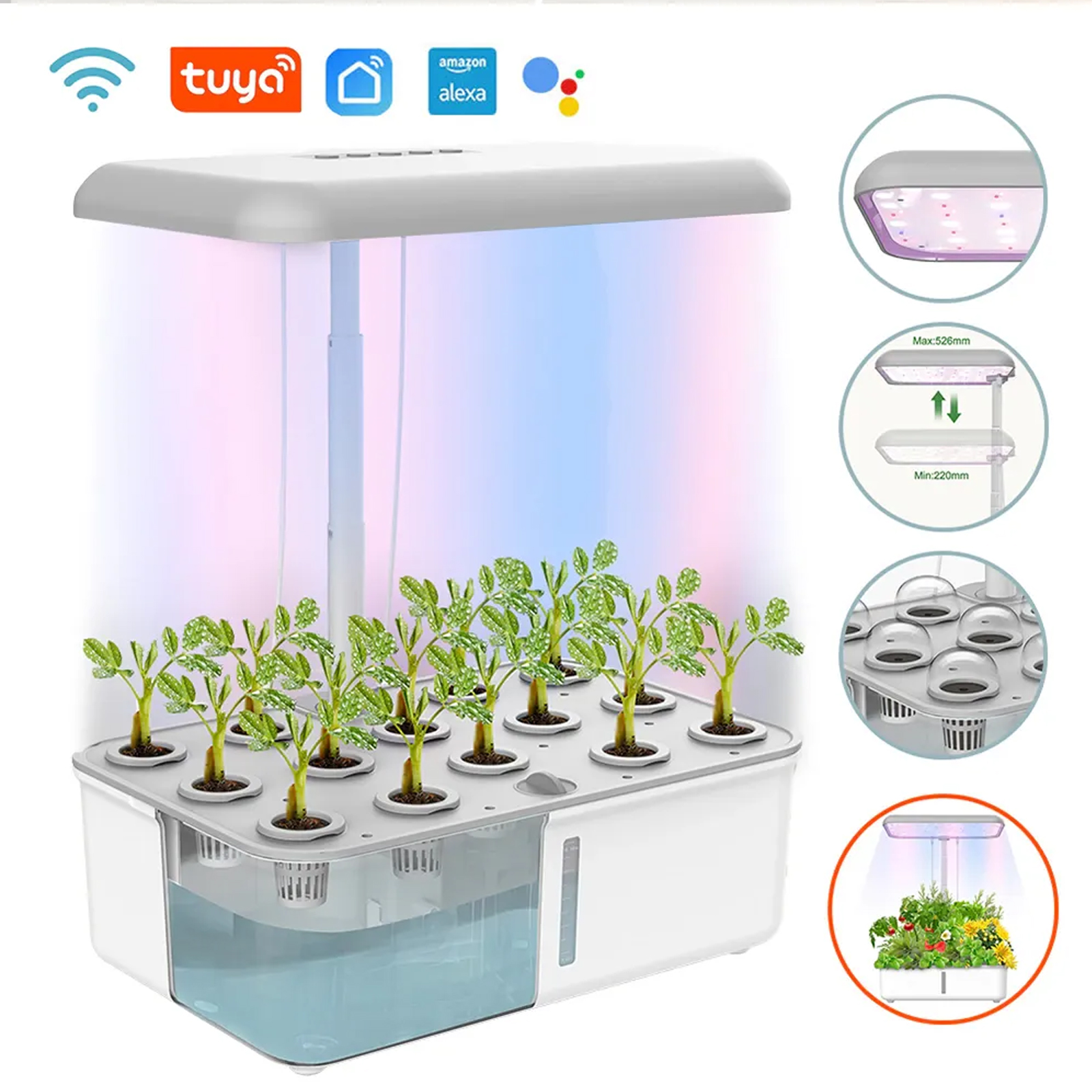 Tuya WiFi Plant Hydroponics Sy - Smart Garden Domes ulasan dan harga