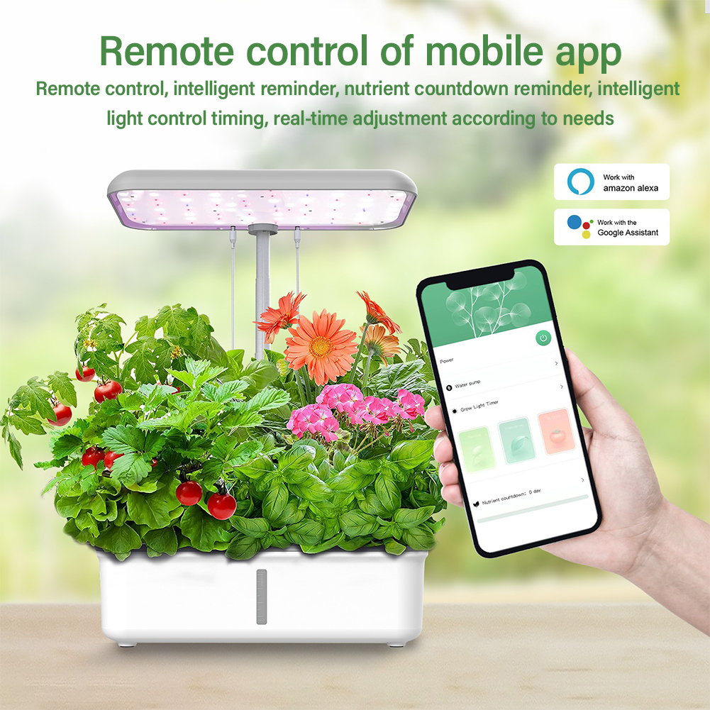 Tuya WiFi Plant Hydroponics Sy - Smart Garden Domes ulasan dan harga