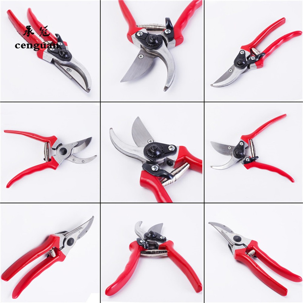 Premium Grafting Pruning Shear - Smart Garden Edging ulasan dan harga