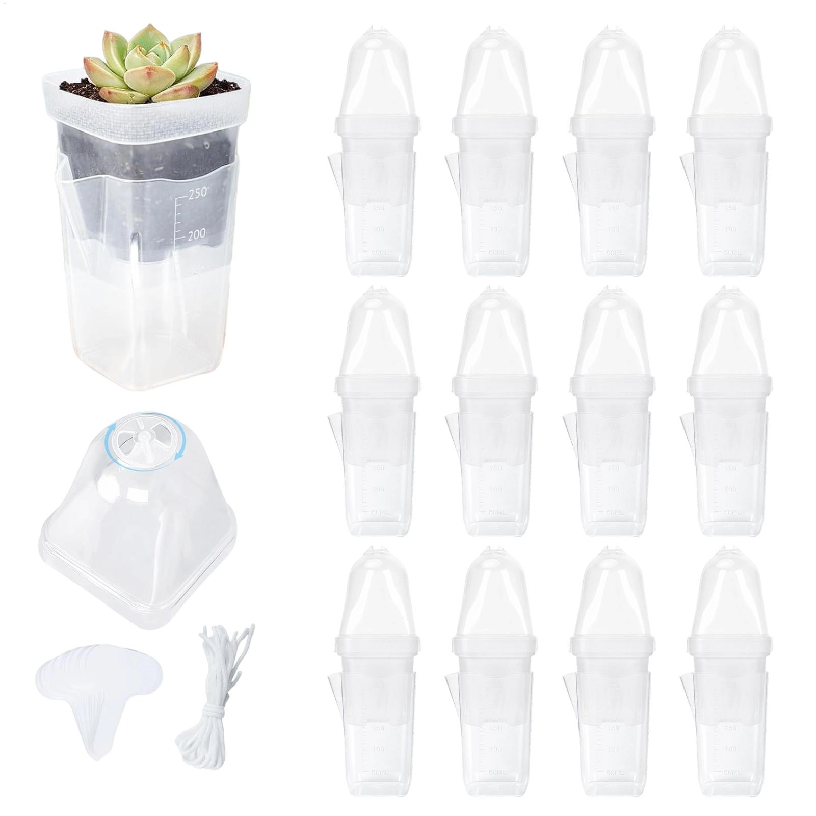Self Watering Plant Pots 12 Pi - Smart Garden Domes ulasan dan harga