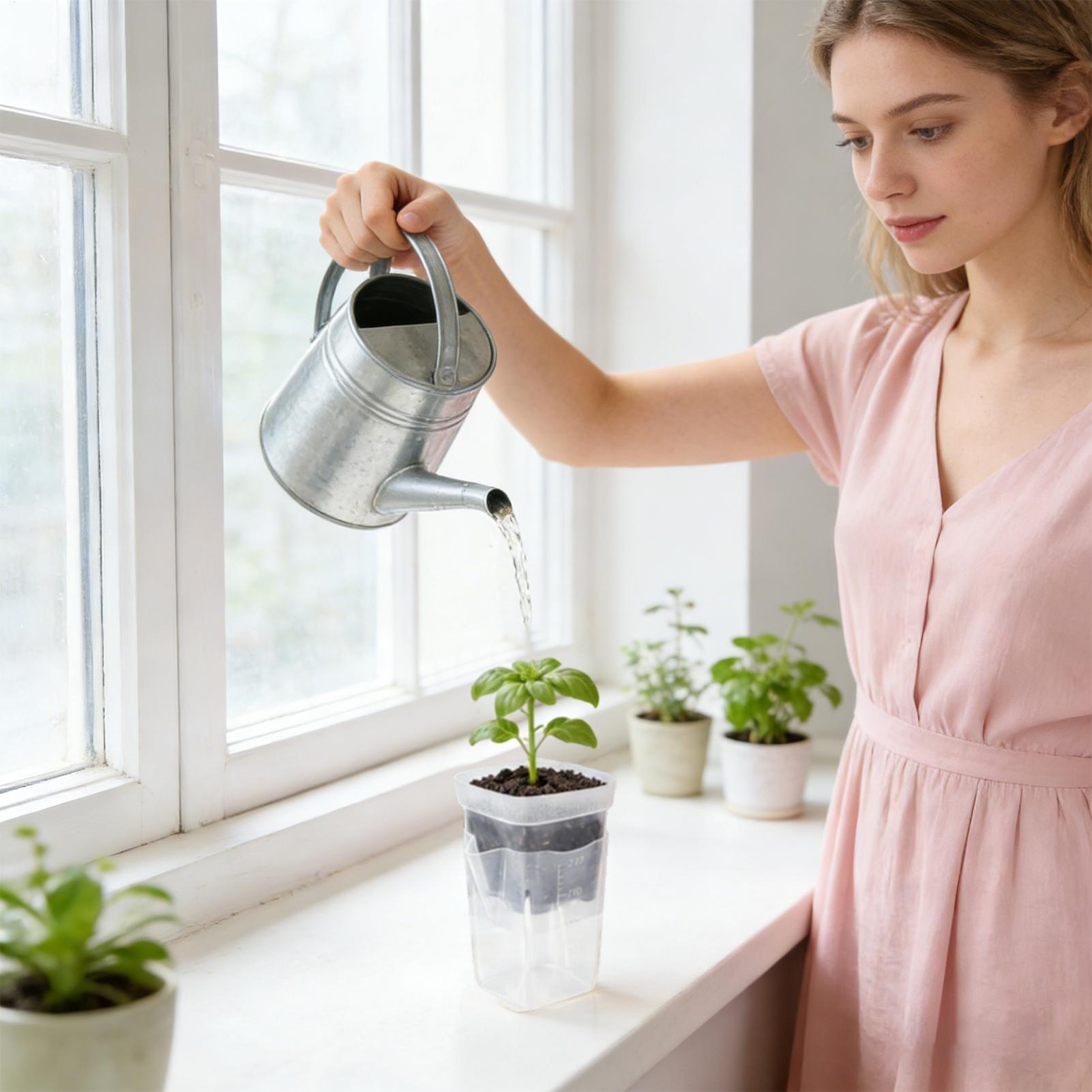Self Watering Plant Pots 12 Pi - Smart Garden Domes ulasan dan harga