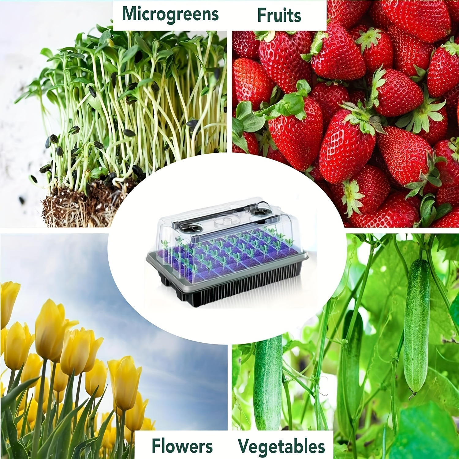 40/Cell Seed Starter Kit with  - Smart Garden Domes ulasan dan harga