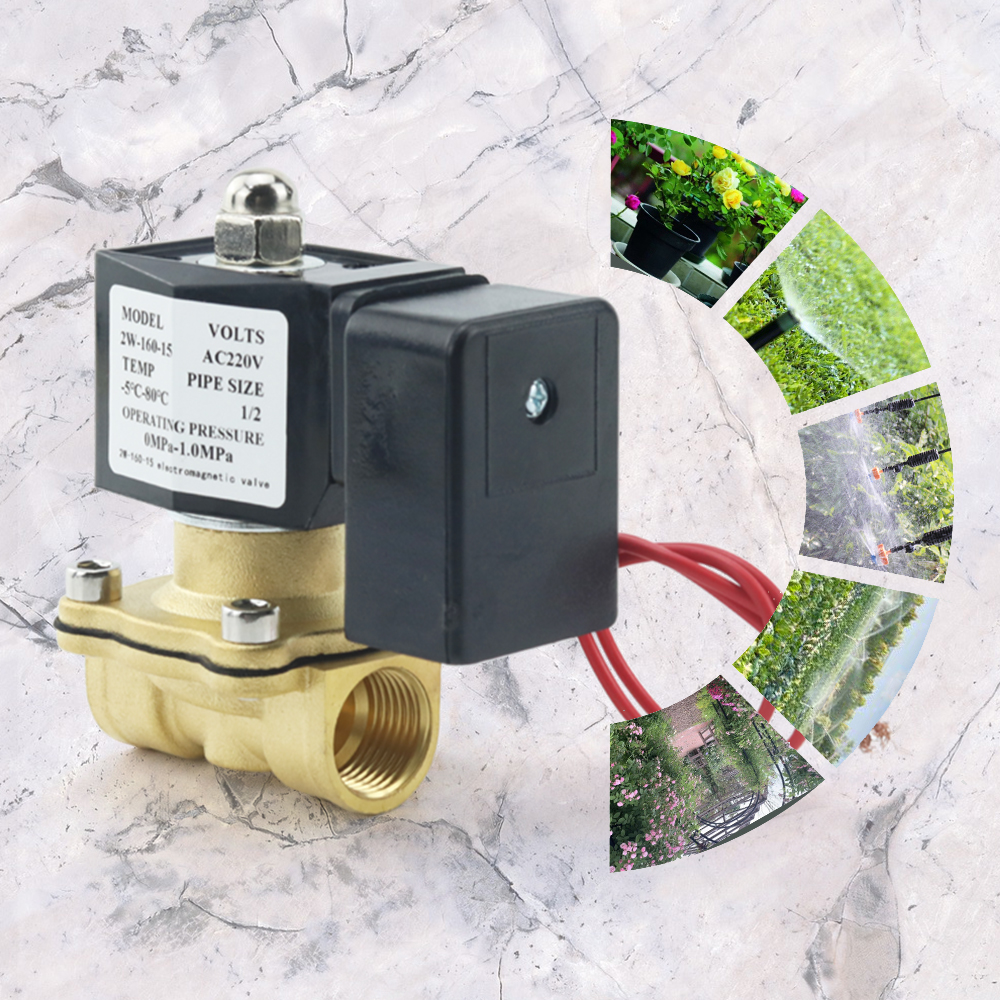 DN15 DN20 DN25 Smart WiFi Wate - Smart Garden Instructions ulasan dan harga