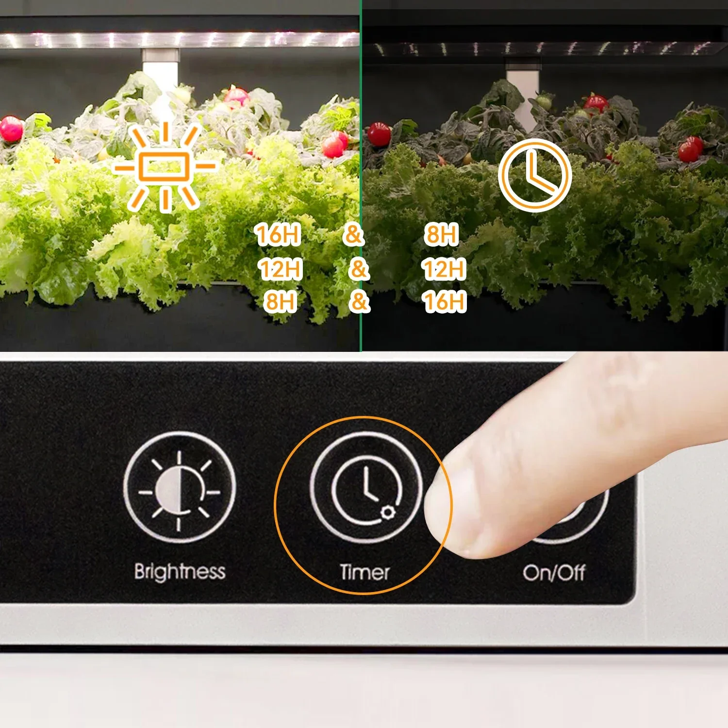 OEM Customized smart garden in - Smart Garden Herb ulasan dan harga