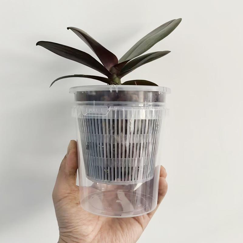 Self Watering Nursery Pots for - Smart Garden Domes ulasan dan harga
