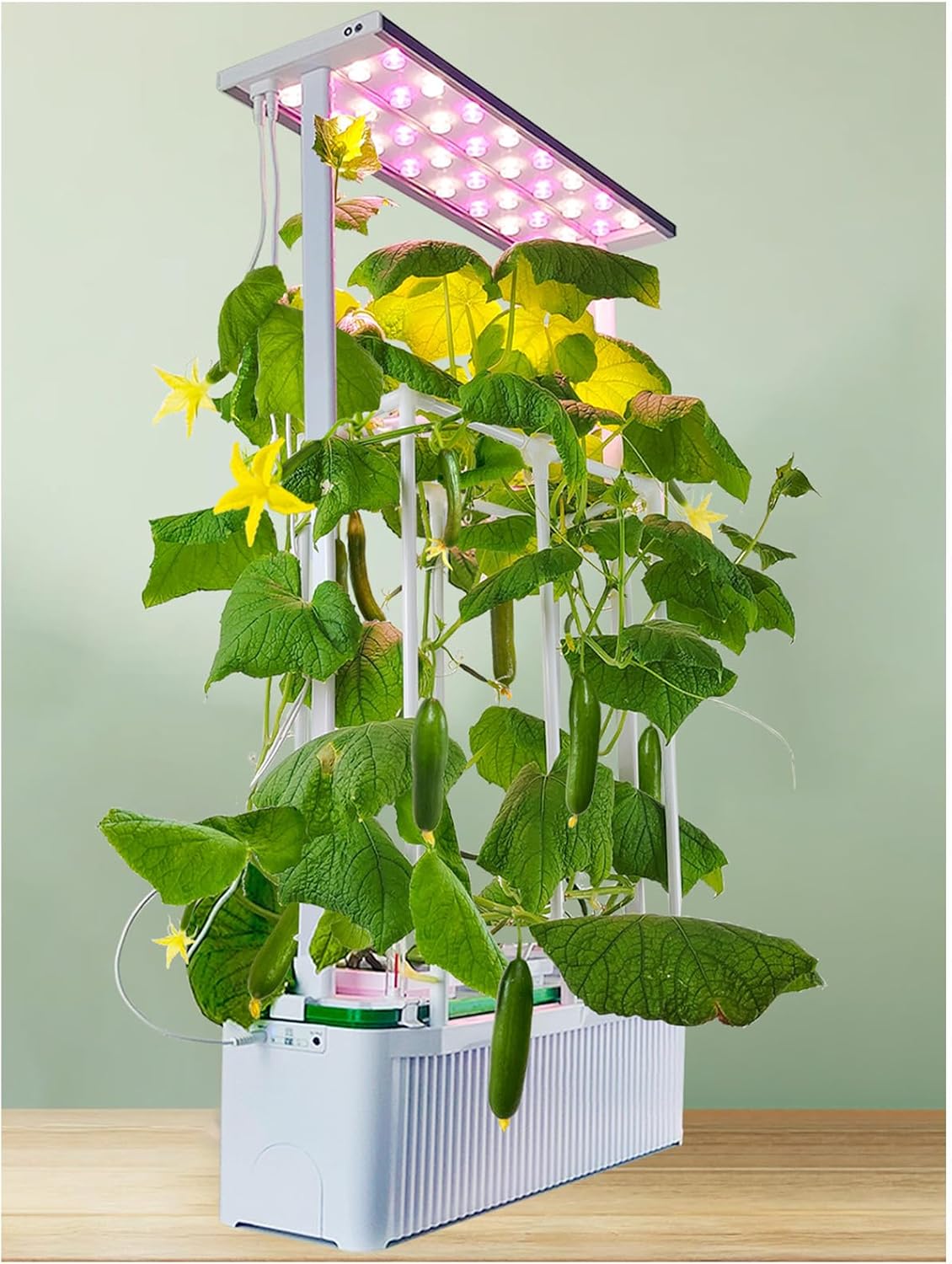 Large Hydroponics Growing Syst - Smart Garden Trellis ulasan dan harga