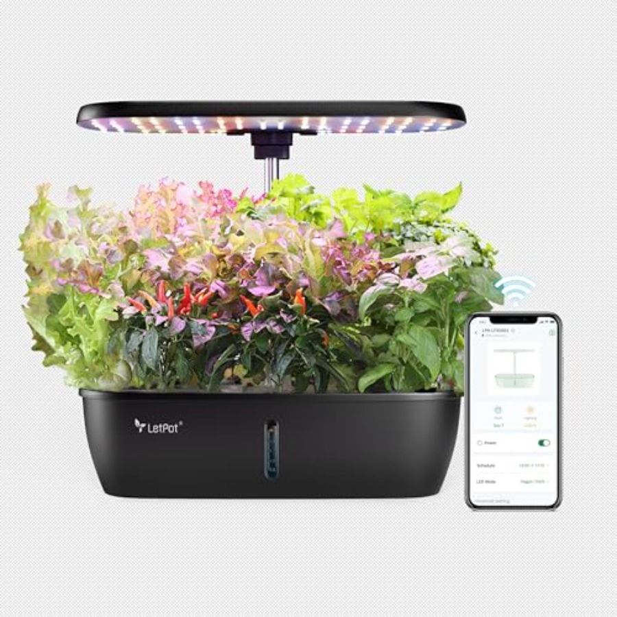Indoor hydroponics growing sys - Smart Garden Herb ulasan dan harga