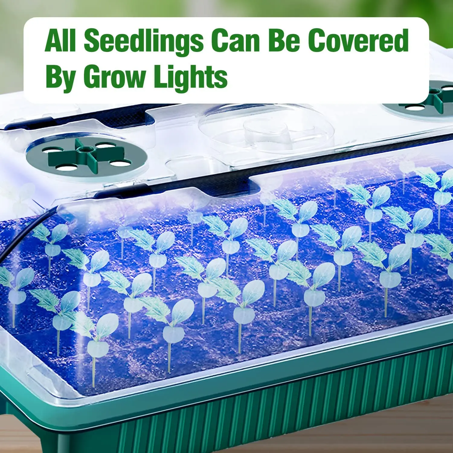 2 Packs, Seed Starter Trays Wi - Smart Garden Domes ulasan dan harga