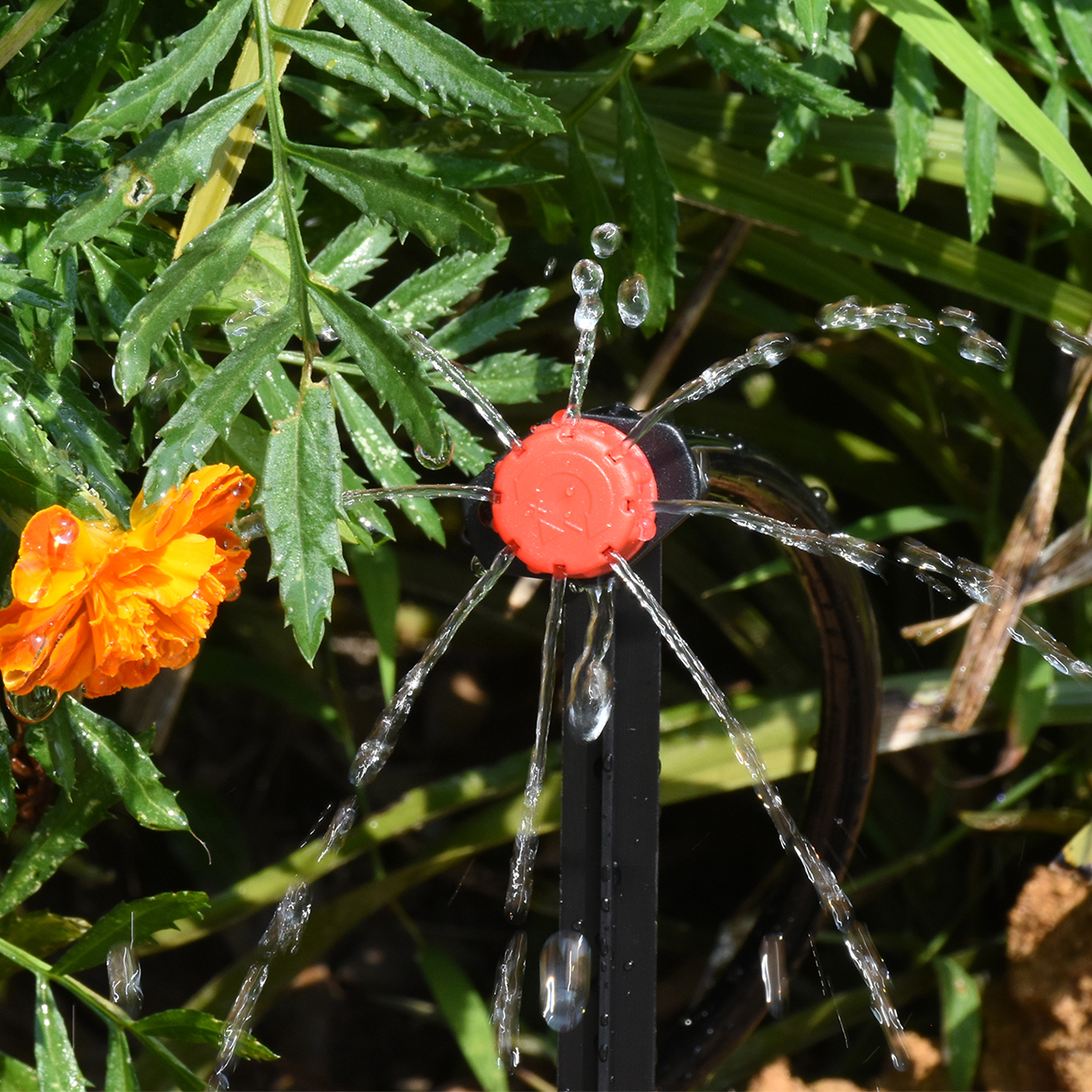 KESLA 5-50M Smart Garden Autom - Smart Garden Domes ulasan dan harga