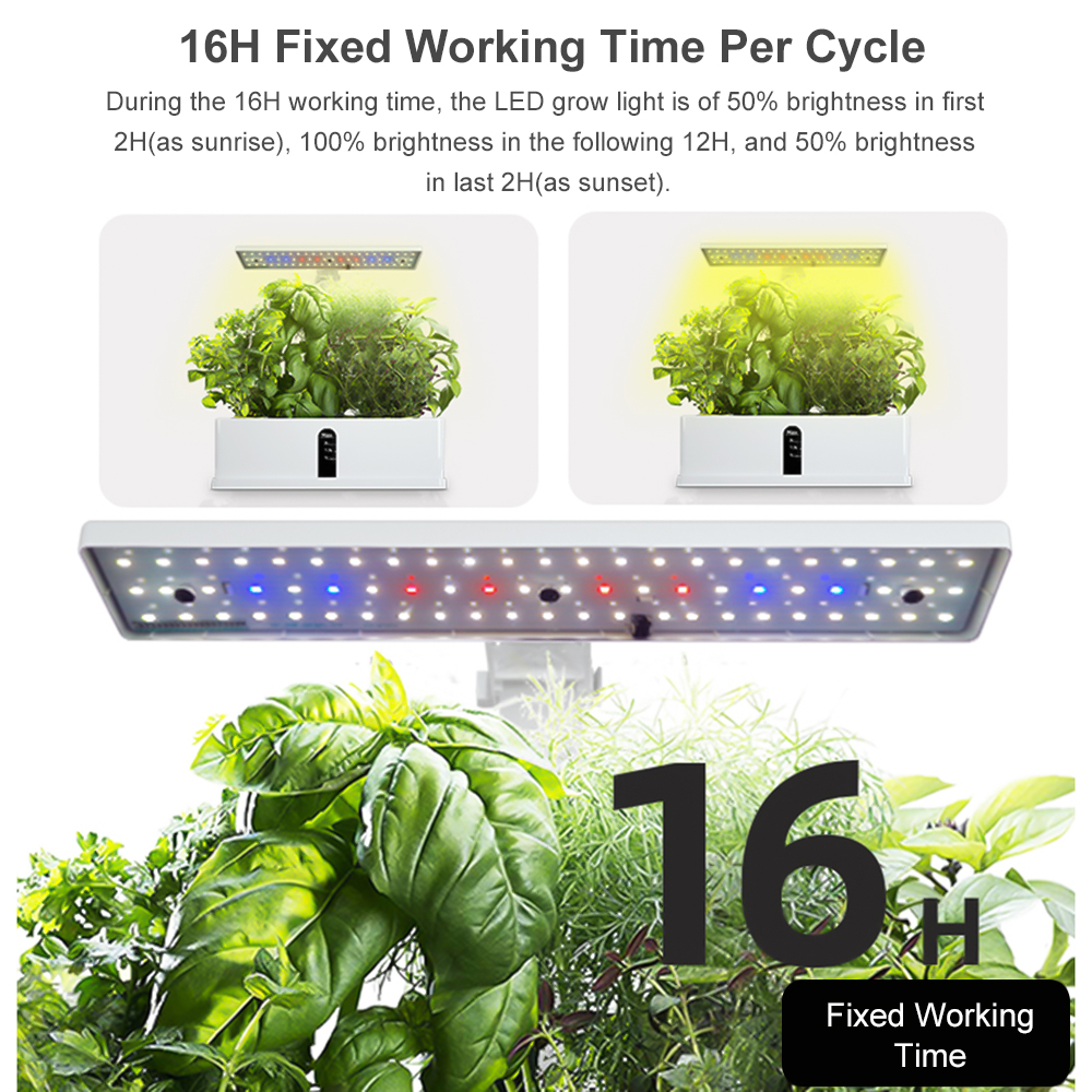 Smart Hydroponics Growing Syst - Smart Garden Domes ulasan dan harga