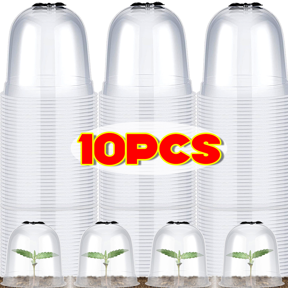 Mini Plastic Greenhouse Frost  - Smart Garden Domes ulasan dan harga