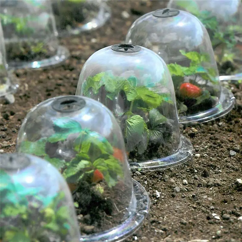 Mini Plastic Greenhouse Frost  - Smart Garden Domes ulasan dan harga